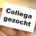 Assistente gezocht